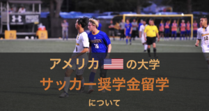 アメリカ大学のサッカー奨学金留学についてまとめてみました